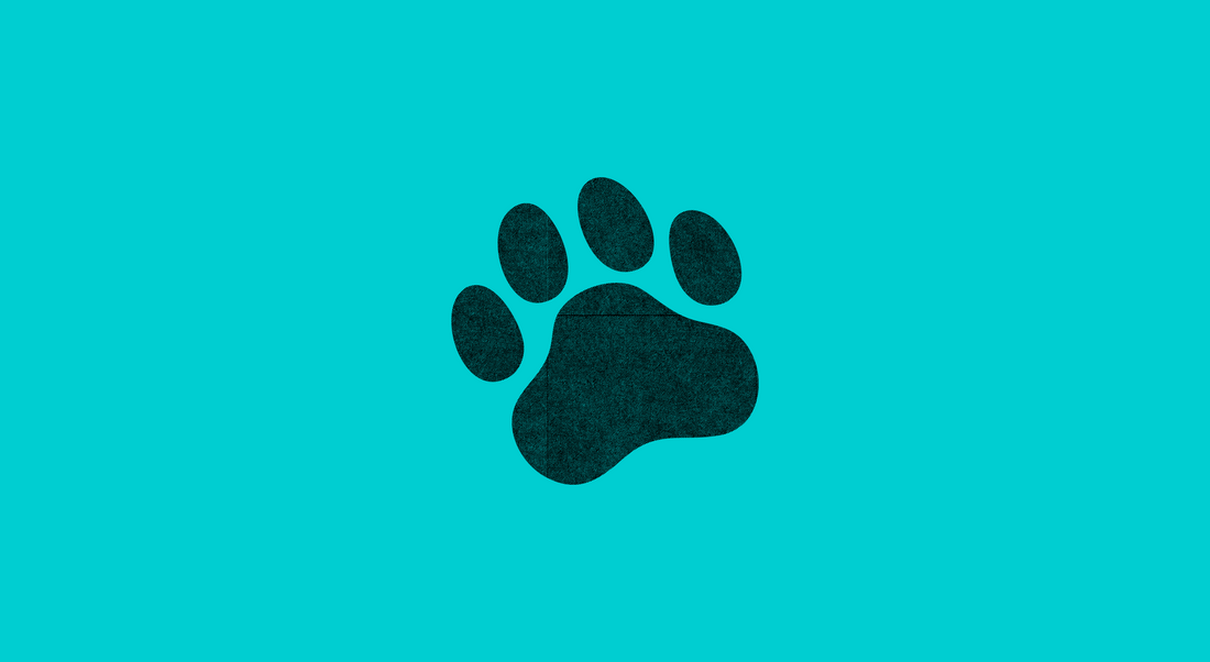 The complete guide to Bear events